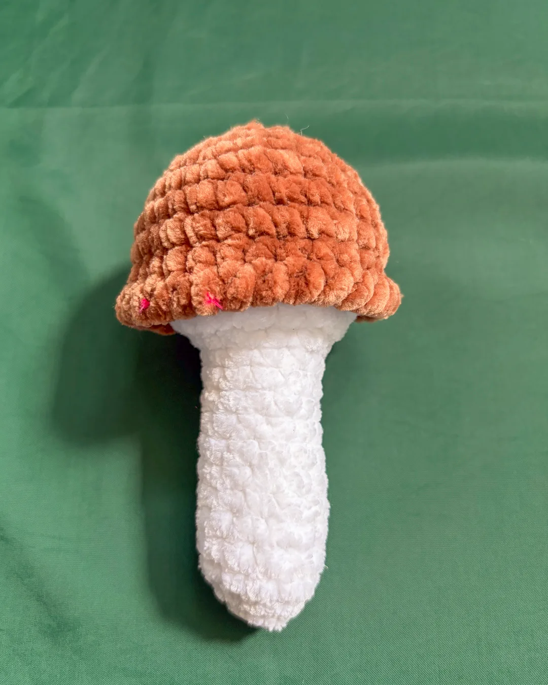 Brown Cap Mushroom