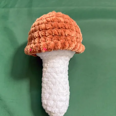 Brown Cap Mushroom