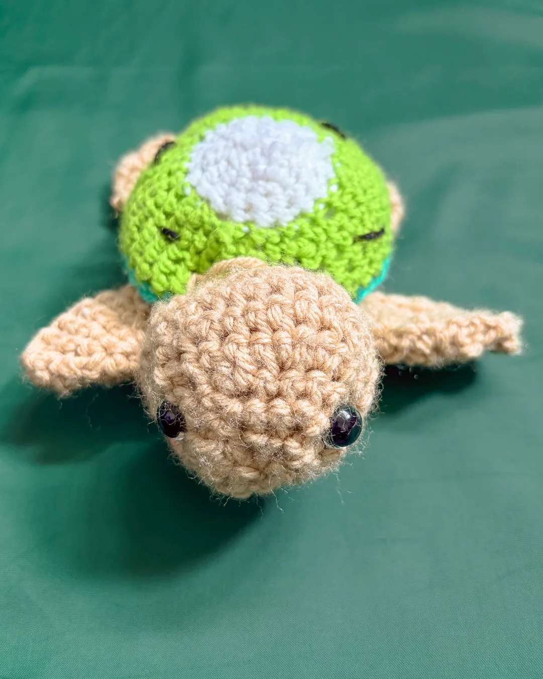 Green Sea Turtle