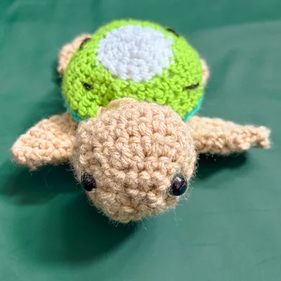 Green Sea Turtle