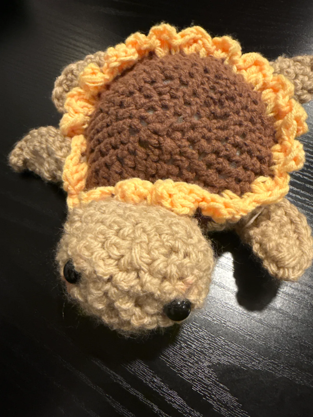 Sea Turtle