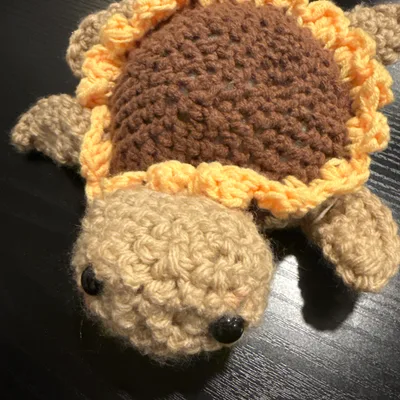 Sea Turtle