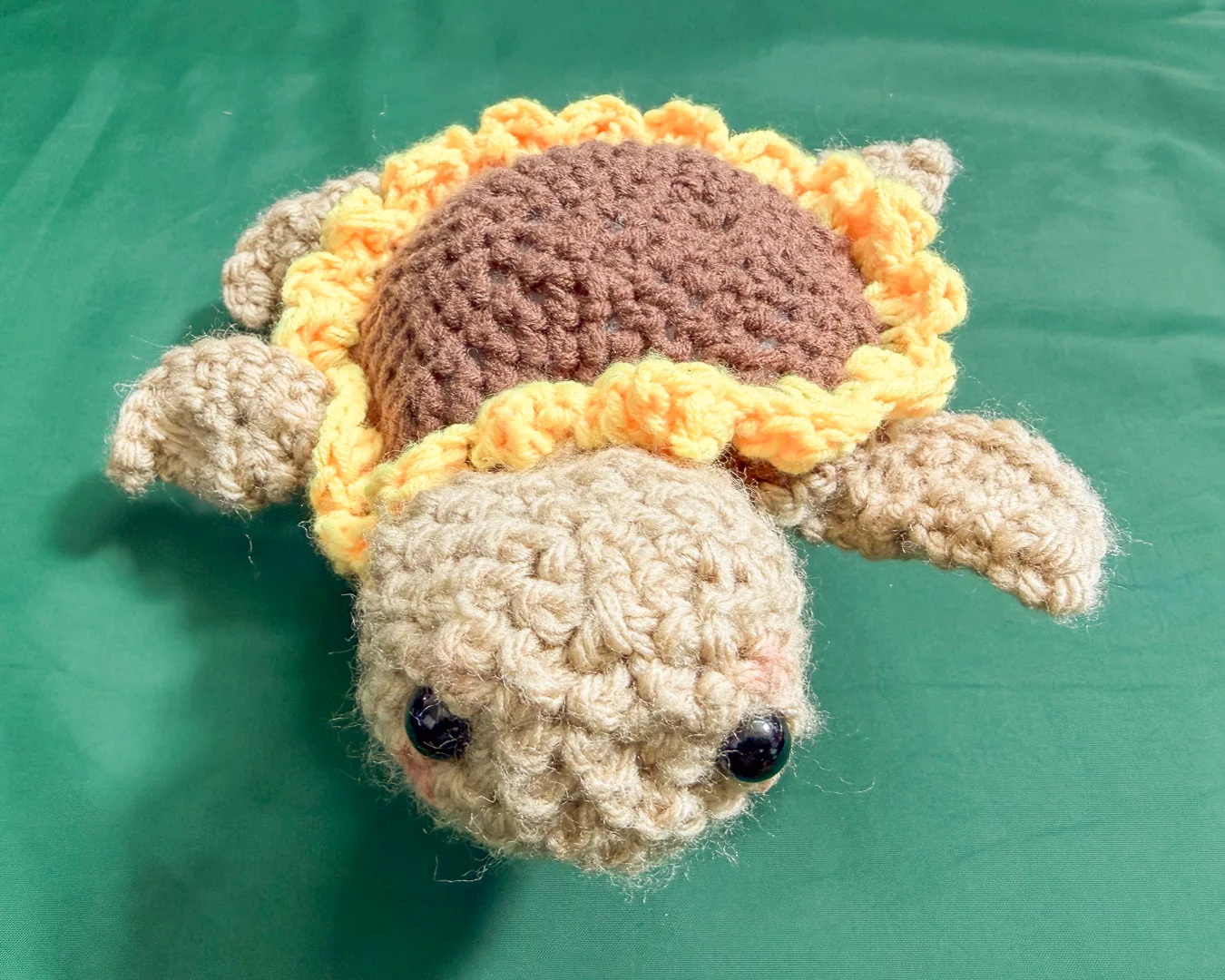 Sunflower Turtle